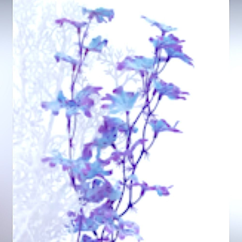 🌸HP🌸Biorb Kelp Set! - Picture 3 of 5